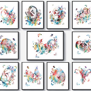 11 Obstetrics and Gynecology Art Obgyn Artwork Fetal Development Art Fetus in Womb Art Female Anatomy Art Midwife Gift Baby Shower Decor