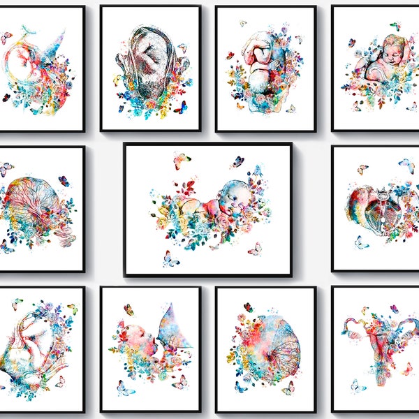 11 Arte de obstetricia y ginecología Obgyn Arte Desarrollo fetal Arte Feto en útero Arte Anatomía femenina Arte de partera Regalo de baby shower Decoración