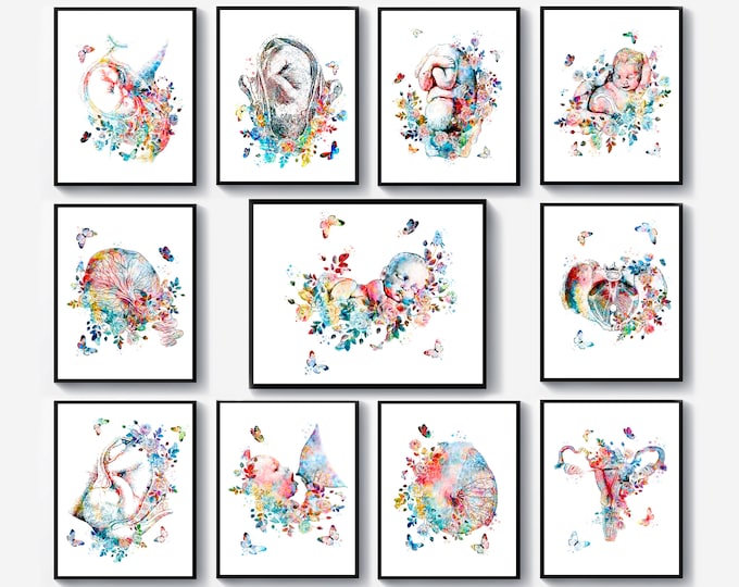 Gynecology Wall Art, Female Anatomy Print, Fertility Poster ...