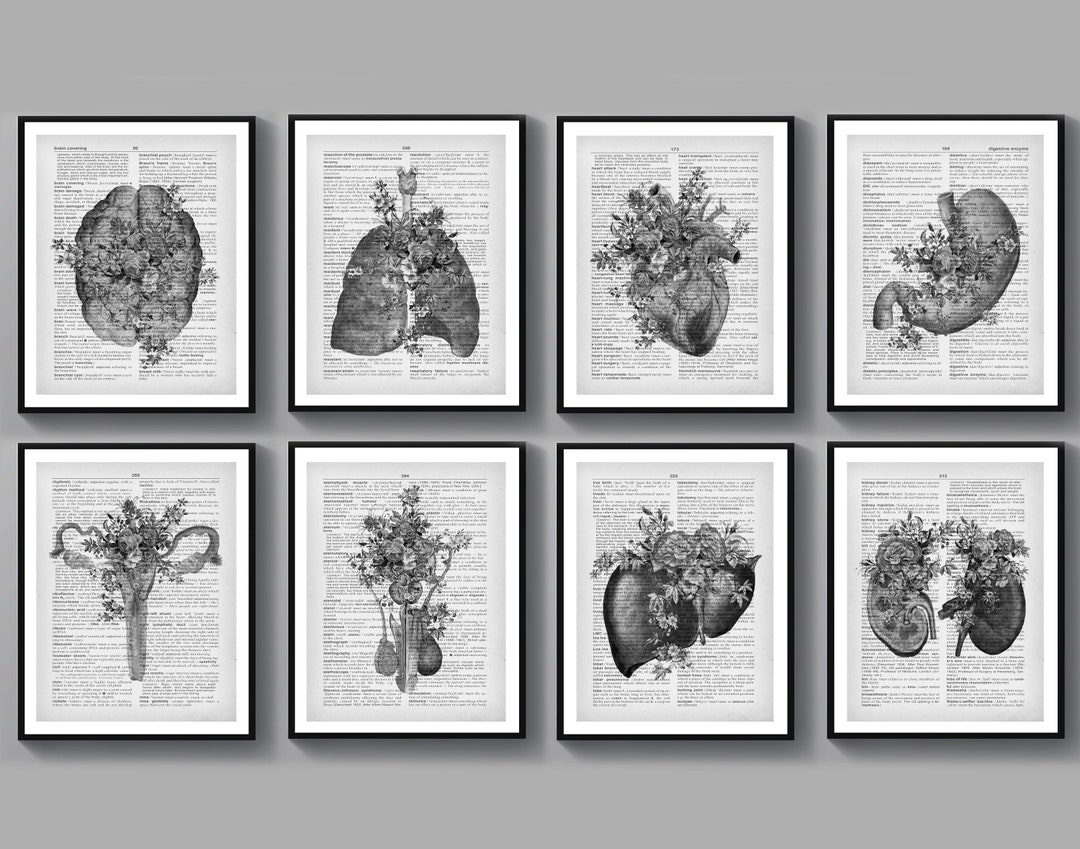 Set 8 Anatomy Art Black White Decor Medical Art Dictionary Art - Etsy
