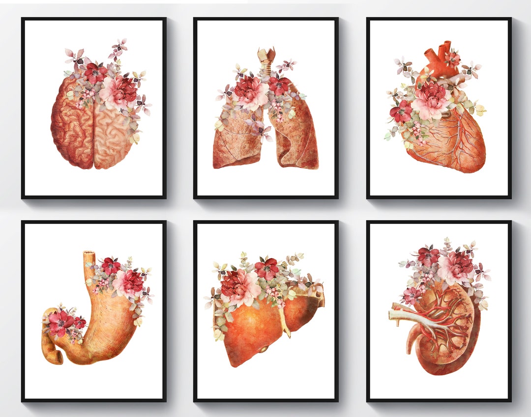 6 Watercolor Anatomy Illustration Floral Anatomical Heart - Etsy