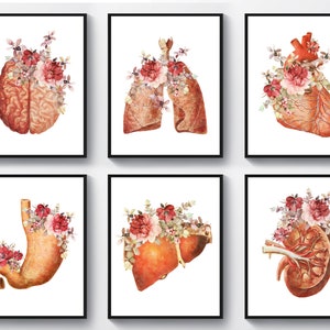 6 aquarel anatomie illustratie bloemen anatomisch hart hersenen longen nier maag lever kunst medische poster arts kantoor decor chirurgie