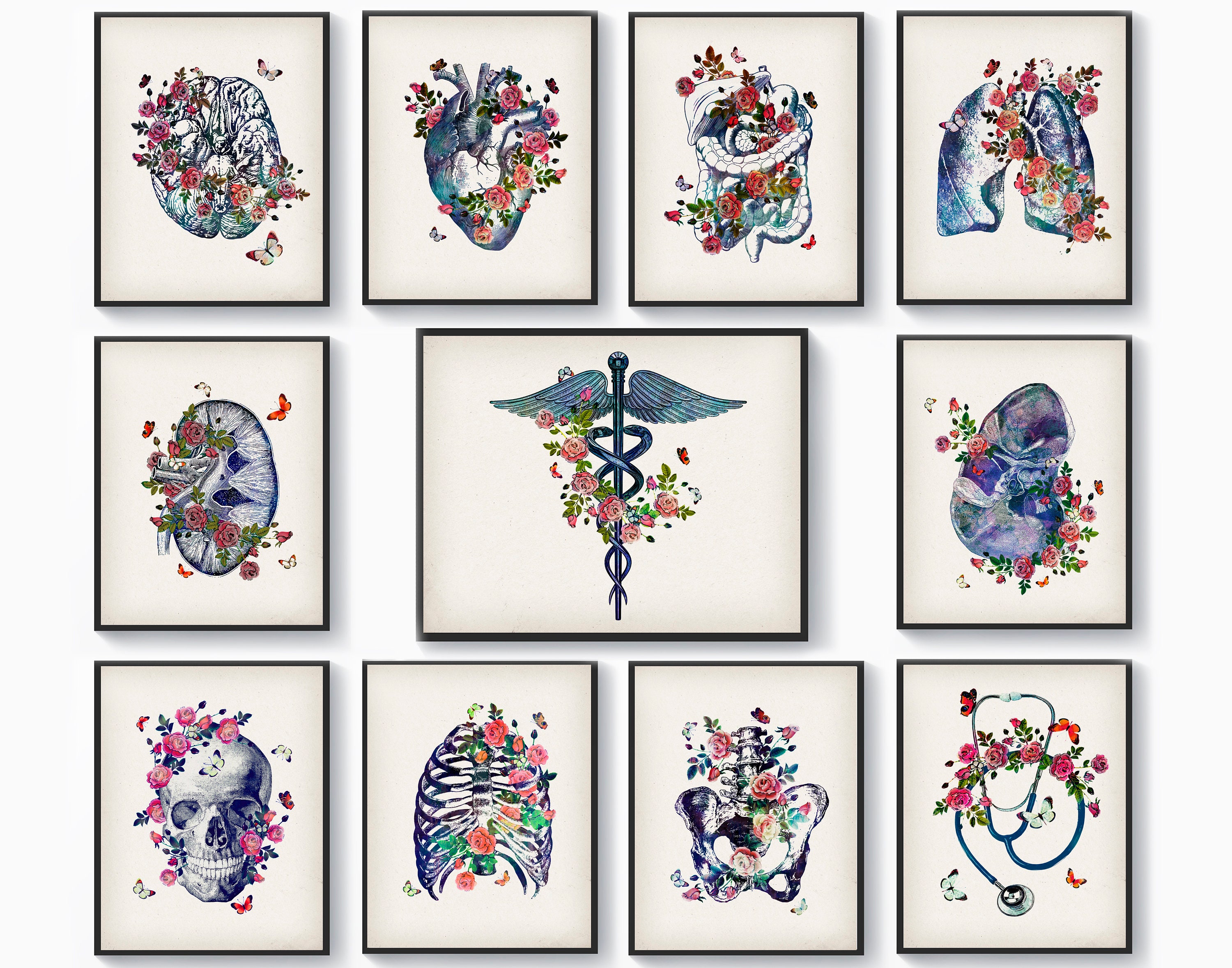 11 Floral Anatomy Art Posters Anatomical Decor Medical Artwork Etsy
