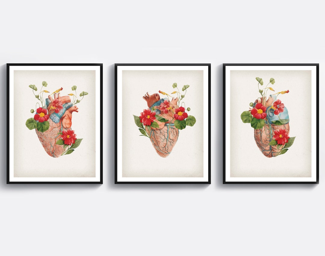 3 Cardiologist Gift Anatomical Heart Art Floral Anatomy Artwork Medical ...