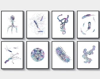 8 Microorganisms Types Art Watercolor Bacteria Art Microbiology Art Protozoa Art Microbiologist Gift Scientist Gift Laboratory Wall Decor