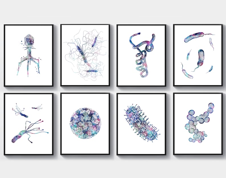 May include: A set of eight watercolor illustrations of different types of bacteria and viruses. The illustrations are in shades of blue, purple, and pink, and are set against a white background.