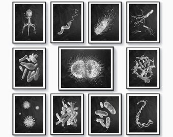 11 Bacteria Types Posters Microbe Art Microbiology Art Medical Artwork Chalkboard Painting Biologist Gift Scientist Gift Medical Laboratory
