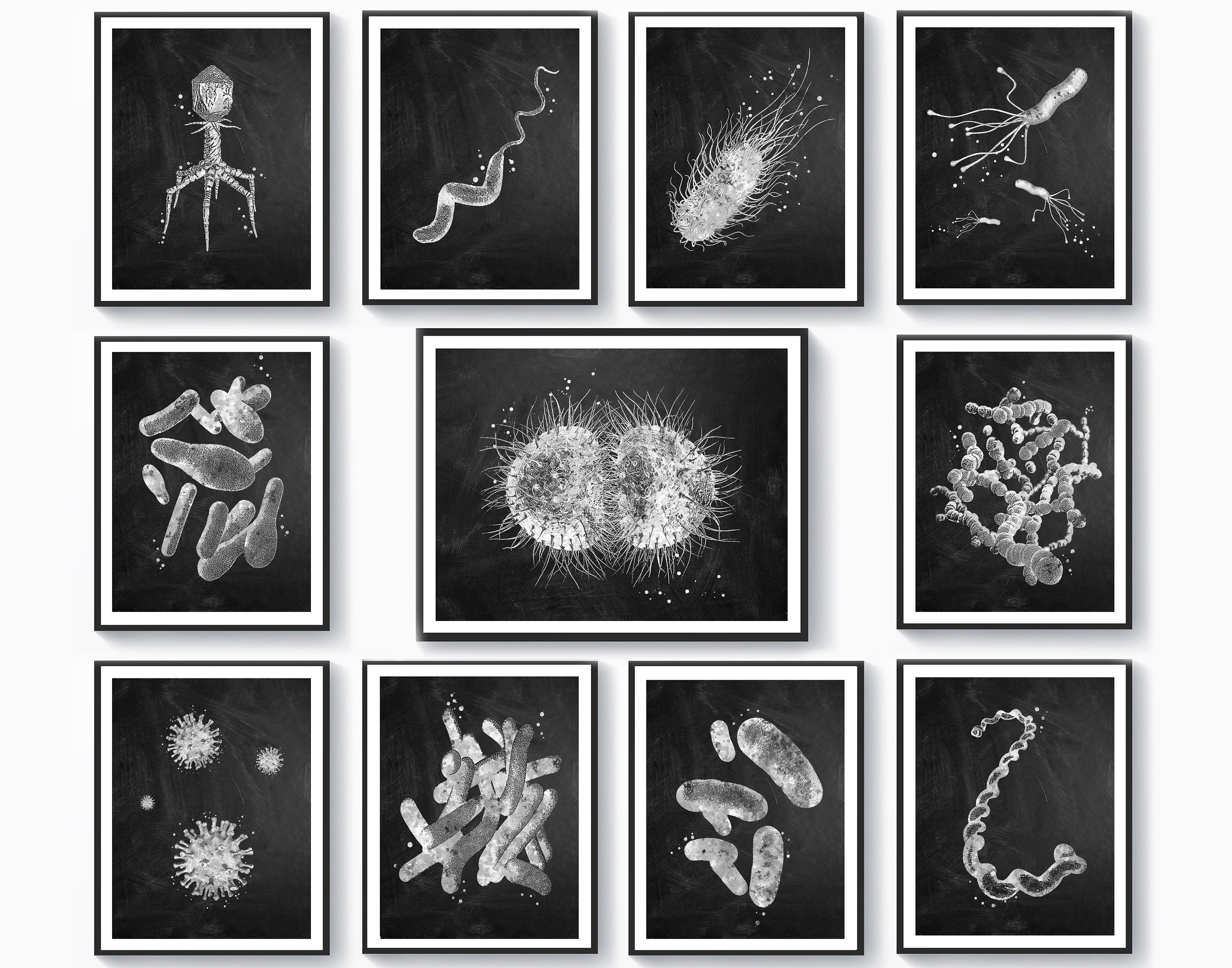 11種類の細菌のポスター 微生物アート 微生物学アート 医療アート