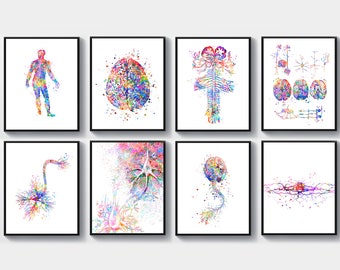 Neurology Art Set 8 Watercolor Brain Anatomy Poster Neuroscience Art Nervous System Drawing Neurologist Office Decor Scientist Gift Biology
