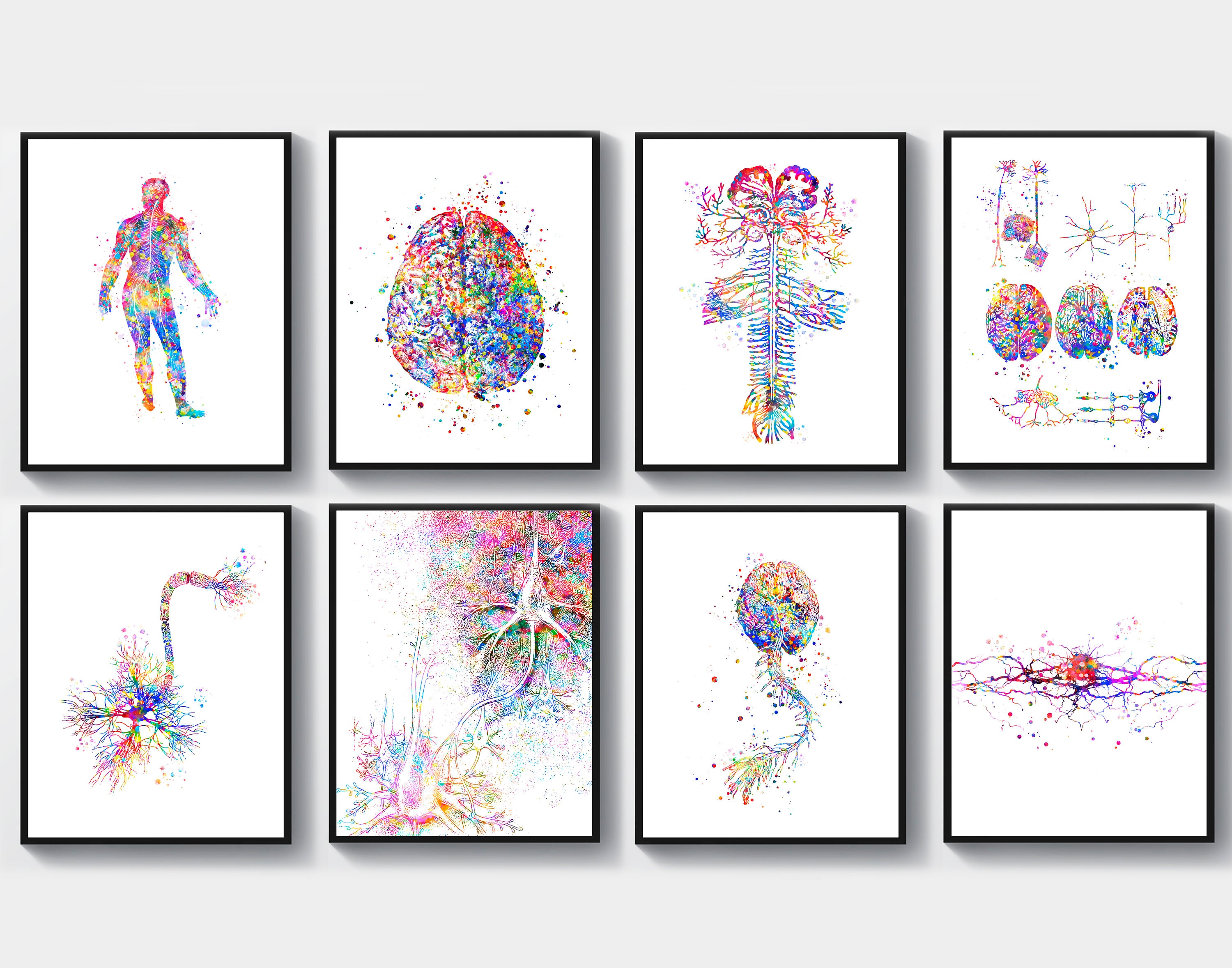 Neurology Art Set 8 Watercolor Brain Anatomy Poster Neuroscience Art ...