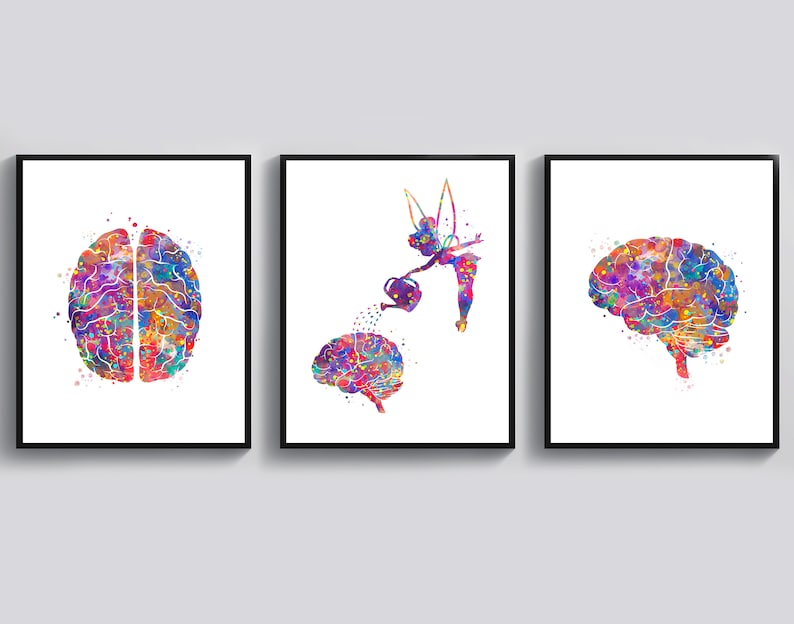 May include: Three watercolor paintings of a human brain. The first image shows a full brain, the second image shows a brain with a fairy watering it, and the third image shows a brain from a side view.