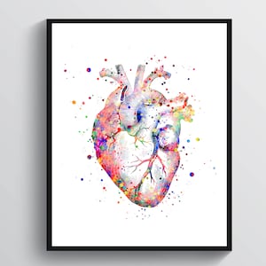 Watercolor Heart Art Anatomy Artwork Cardiologist Gift Medical Art Heart Surgeon Gift Physiology Art Science Art Doctor Office Decor