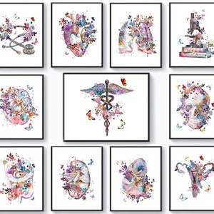 11 Watercolor Anatomy Artwork, Medical Wall Art, Nurse Art, Physiology Wall Art, Caduceus Art, Stethoscope Art, Physical Therapy Painting