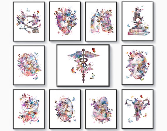 11 Watercolor Anatomy Artwork, Medical Wall Art, Nurse Art, Physiology Wall Art, Caduceus Art, Stethoscope Art, Physical Therapy Painting