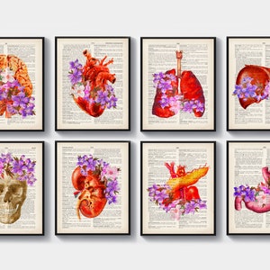 Set 8 Floral Anatomy Art Watercolor Flowers Drawing Vintage Dictionary Medical Decor Brain Heart Lung Liver Kidney Pancreas Stomach Poster