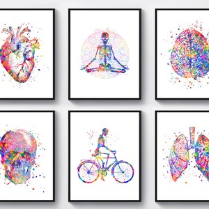 6 Watercolor Anatomy Art Medical Art Anatomical Organ Poster Human Skeleton Art Doctor Office Decor Physical Therapist Gift Surgeon Gift