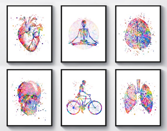 6 Watercolor Anatomy Art Medical Art Anatomical Organ Poster - Etsy