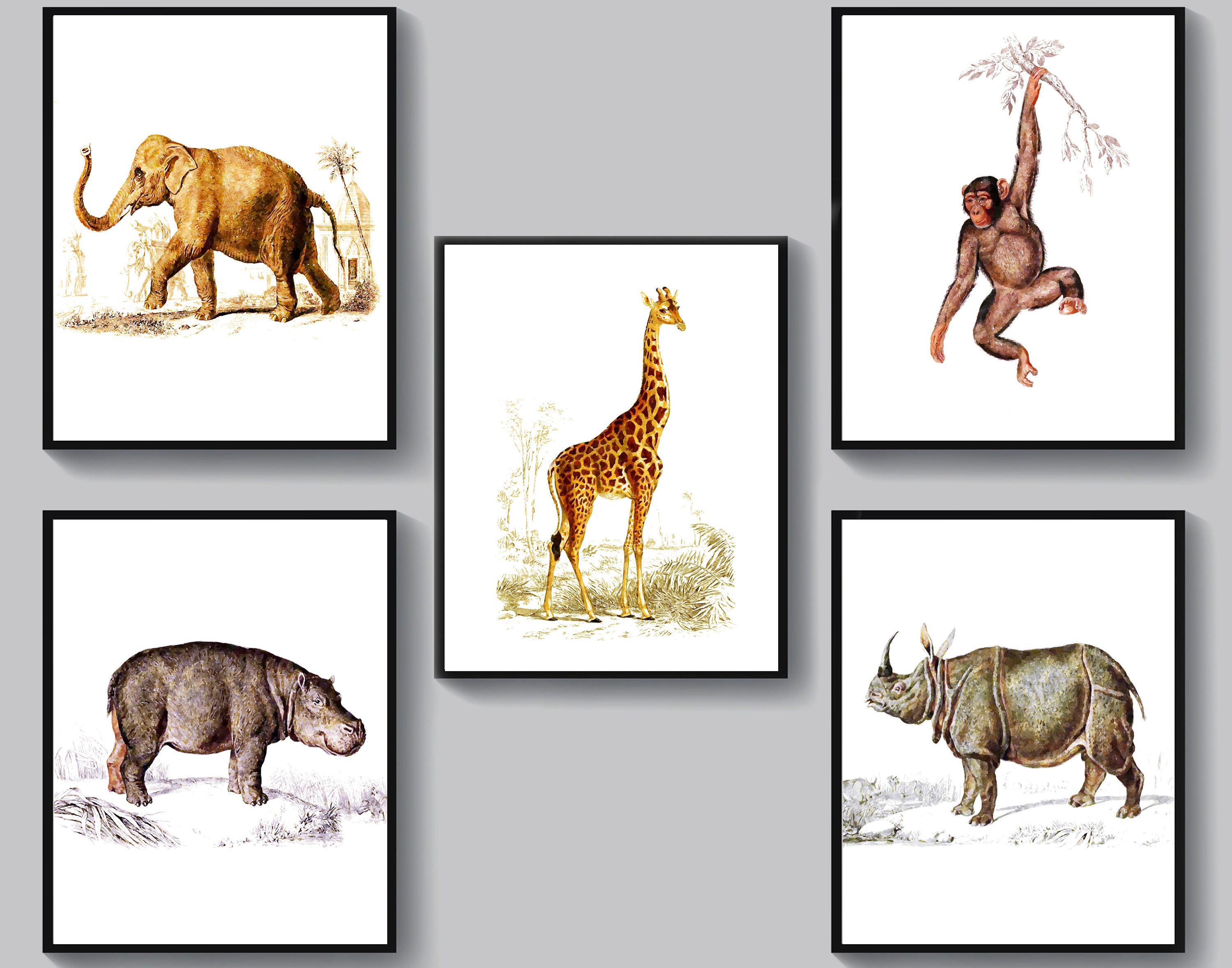 African Animals Poster Safari Animals Illustration Wild - Etsy