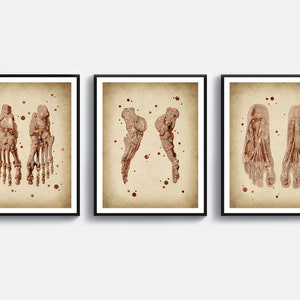 Vintage Foot Anatomy Set of 3, Antique Podiatry Poster, Medicine Decor, Foot Bones, Skeletal Bones, Orthopedic Poster, Podiatrist Gift