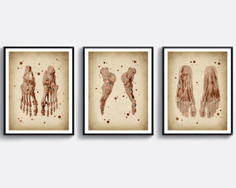 May include: Set of three vintage-style anatomical illustrations of the human foot, printed on a beige background with brown splatter paint accents. The illustrations show the bones of the foot in detail.