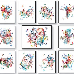 11 Arte de embarazo de gemelos Póster de gemelos en el útero Embarazada de gemelos Regalo Dibujo de parto múltiple Arte de ginecología Decoración de pared de partería