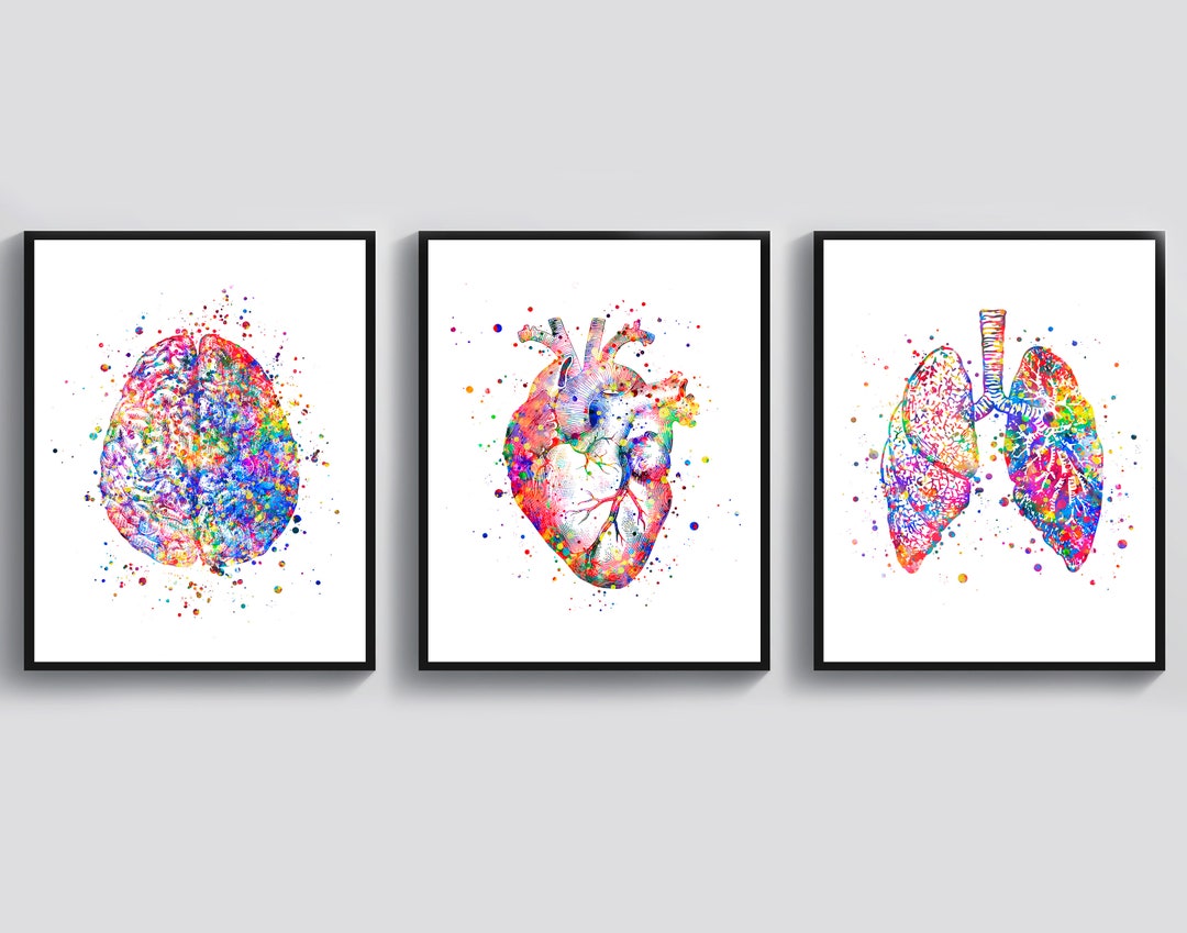 Doctor Office Decor Medical Art Watercolor Anatomy Art Anatomical ...