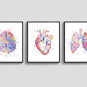 Doctor Office Decor Medical Art Watercolor Anatomy Art Anatomical Organs Poster Human Brain Heart Lungs Printables Nurse Gift Surgeon Gift