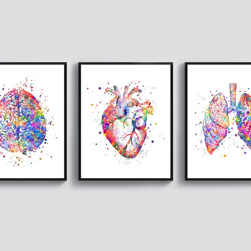 Doctor Office Decor Medical Art Watercolor Anatomy Art - Etsy