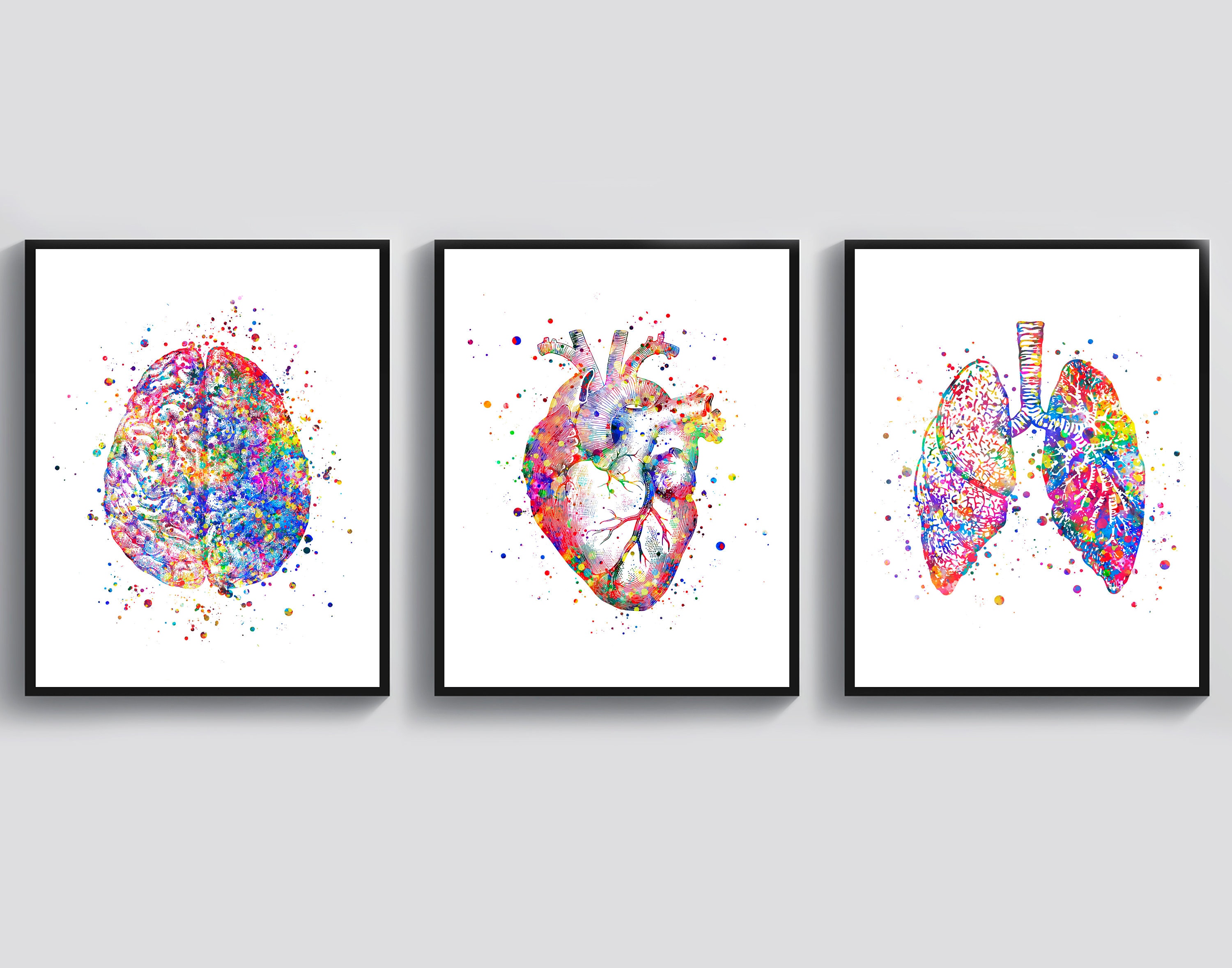 Doctor Office Decor Medical Art Watercolor Anatomy Art Anatomical ...