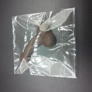 Op de afbeelding: Een donkerbruine chocolade replica van een mannelijk lichaamsdeel in een doorzichtige plastic zak.