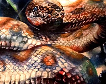 Rainbow Boa PRINT of pastel drawing by Joe Winans c.1990
