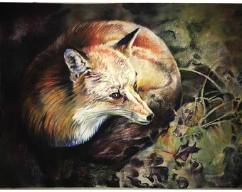 Red Fox PRINT of animal pastel drawing by Joe Winans