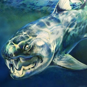 May include: An illustration of a prehistoric Dunkleosteus fish swimming underwater. The fish is depicted with a menacing expression, sharp teeth, and armored plates. The artwork is rendered in shades of blue and green, with light reflecting off the fish's body.