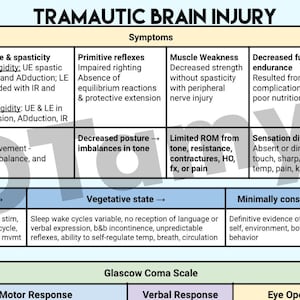 Traumatic Brain Injury 2-Page OT Rehab Interventions & Symptoms Outline
