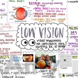 Anatomie von Vision & Low Vision Ein-Seiten-Umriss / Konzeptkarte