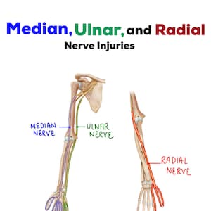 Nerve Injury/Dysfunction Chart (median, ulnar, & radial nerves)