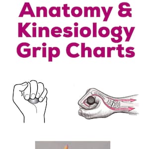 May include: A diagram showing different types of hand grips, including a fist grip, a power grip, and a precision grip. The diagram shows the muscles involved in each grip.