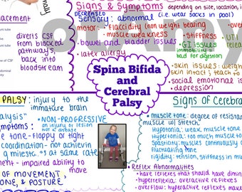 Spina Bifida e Paralisi Cerebrale - Schema di una pagina / Mappa concettuale (2 in 1)