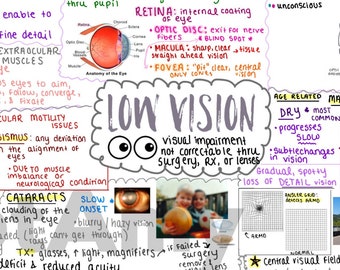 Anatomy of Vision & Low Vision One-Page Outline  / Concept Map