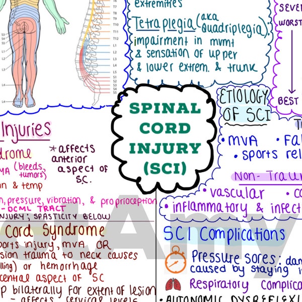 Spinal Cord Injury Concept Map & Expanded Chart