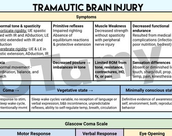 Traumatic Brain Injury 2-Page OT Rehab Interventions & Symptoms Outline