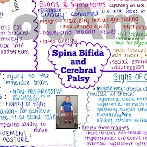 Spina Bifida & Cerebral Palsy One-Page Outline / Concept Map (2-in-1)