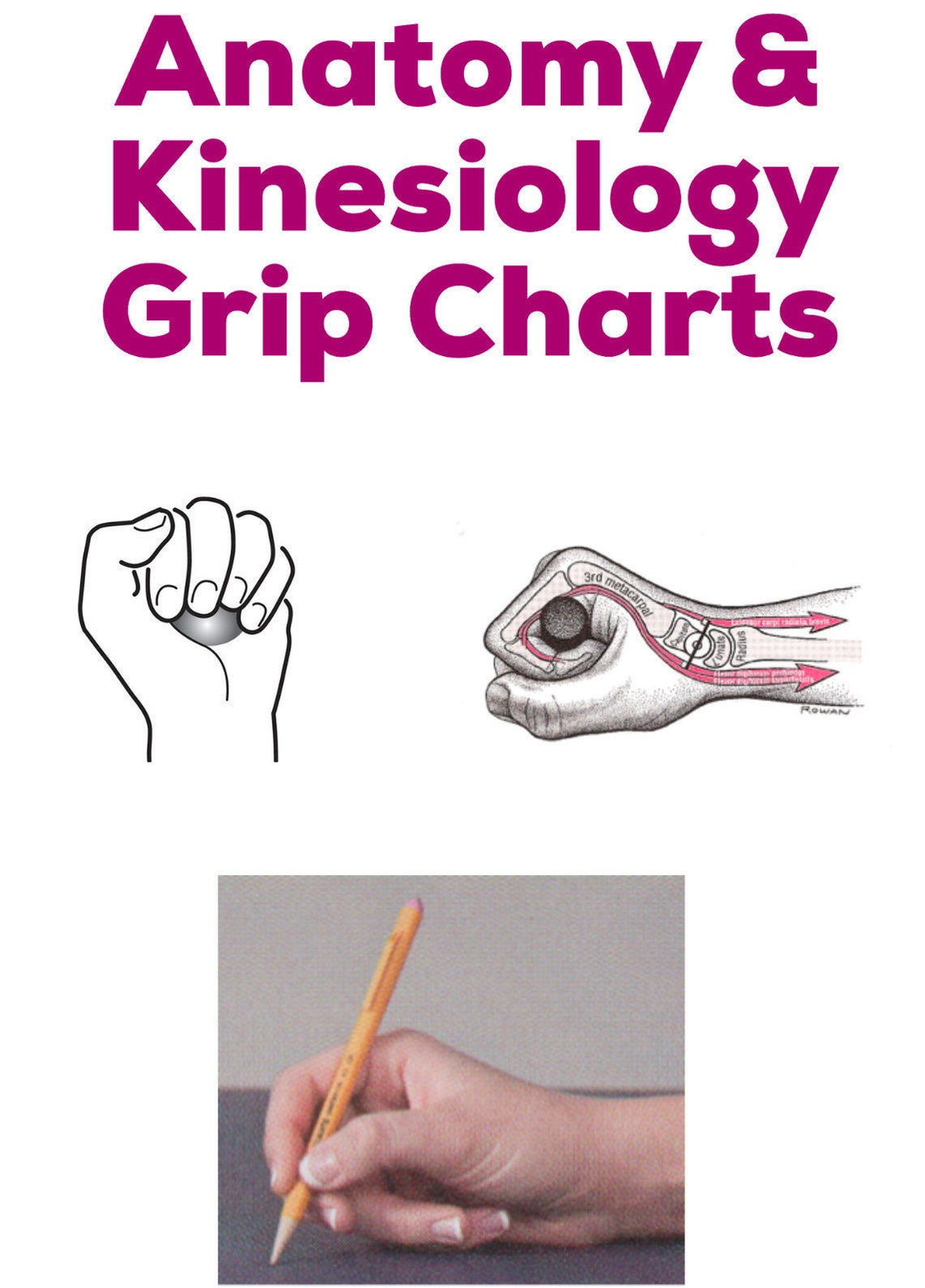 Muscle Grip Chart Study Guide Anatomy & Kinesiology Etsy