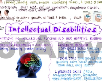 Intellectual Disabilities One-Page Outline / Concept Map