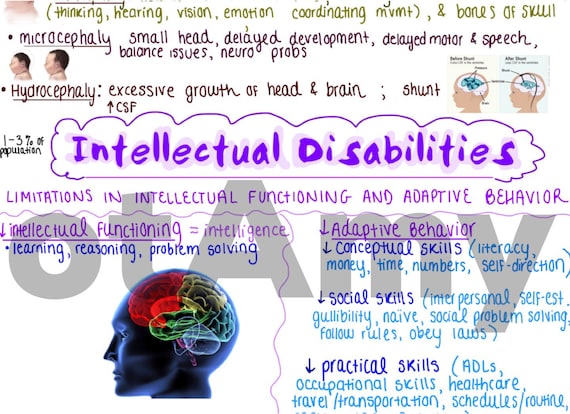Intellectual disabilities one page outline concept map etsy