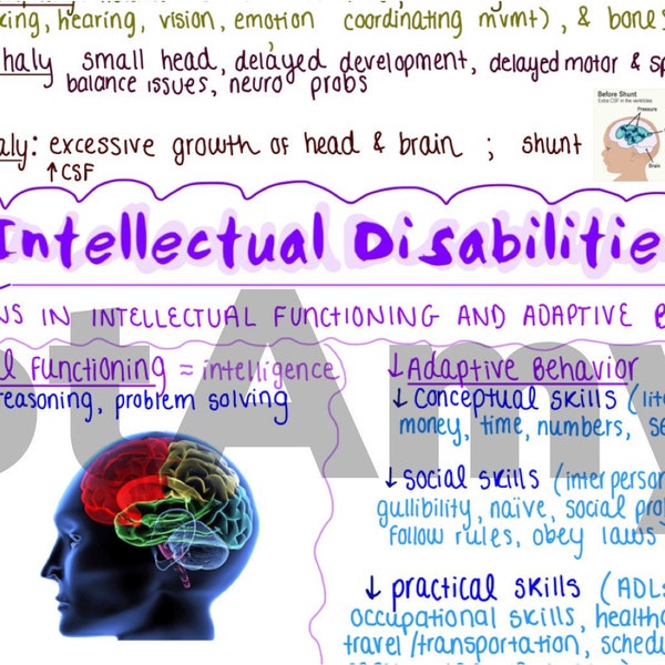 Intellectual Disabilities One-Page Outline / Concept Map