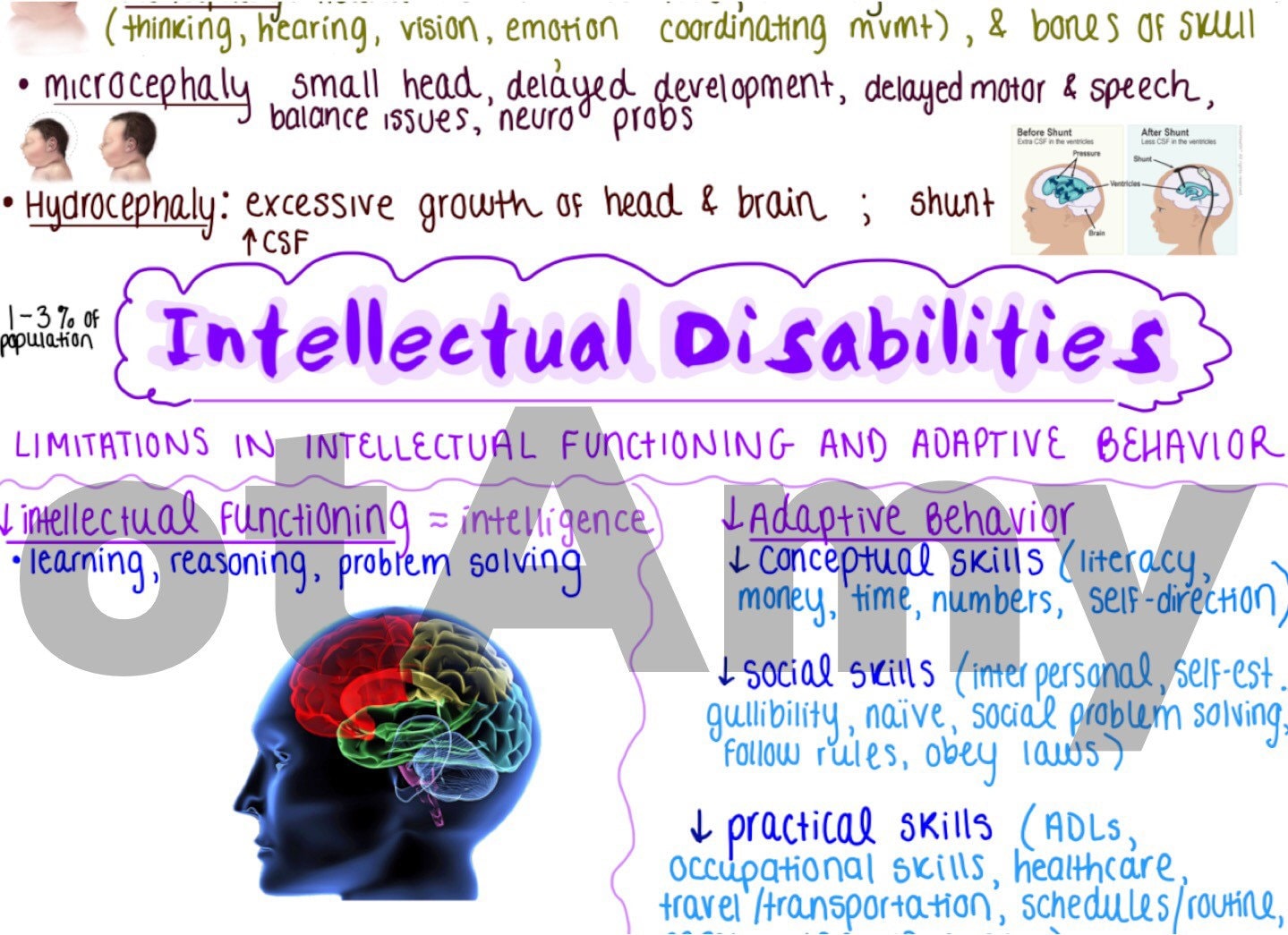 Intellectual Disabilities Onepage Outline / Concept Map Etsy