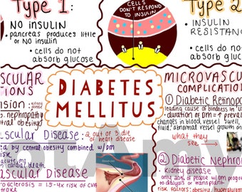 Diabetes Mellitus One-Page Outline / Concept Map