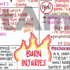 Burn Injuries One-Page Outline / Concept Map