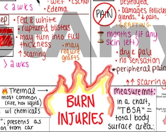 Burn Injuries One-Page Outline / Concept Map